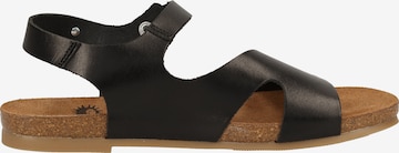 COSMOS COMFORT Sandaal in Zwart