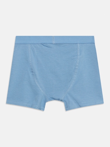 Lindex - Cueca em azul