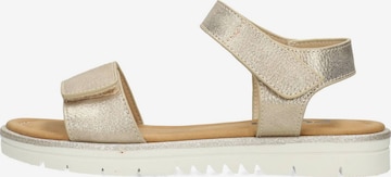 POSH by Poelman Sandalen in Goud: voorkant