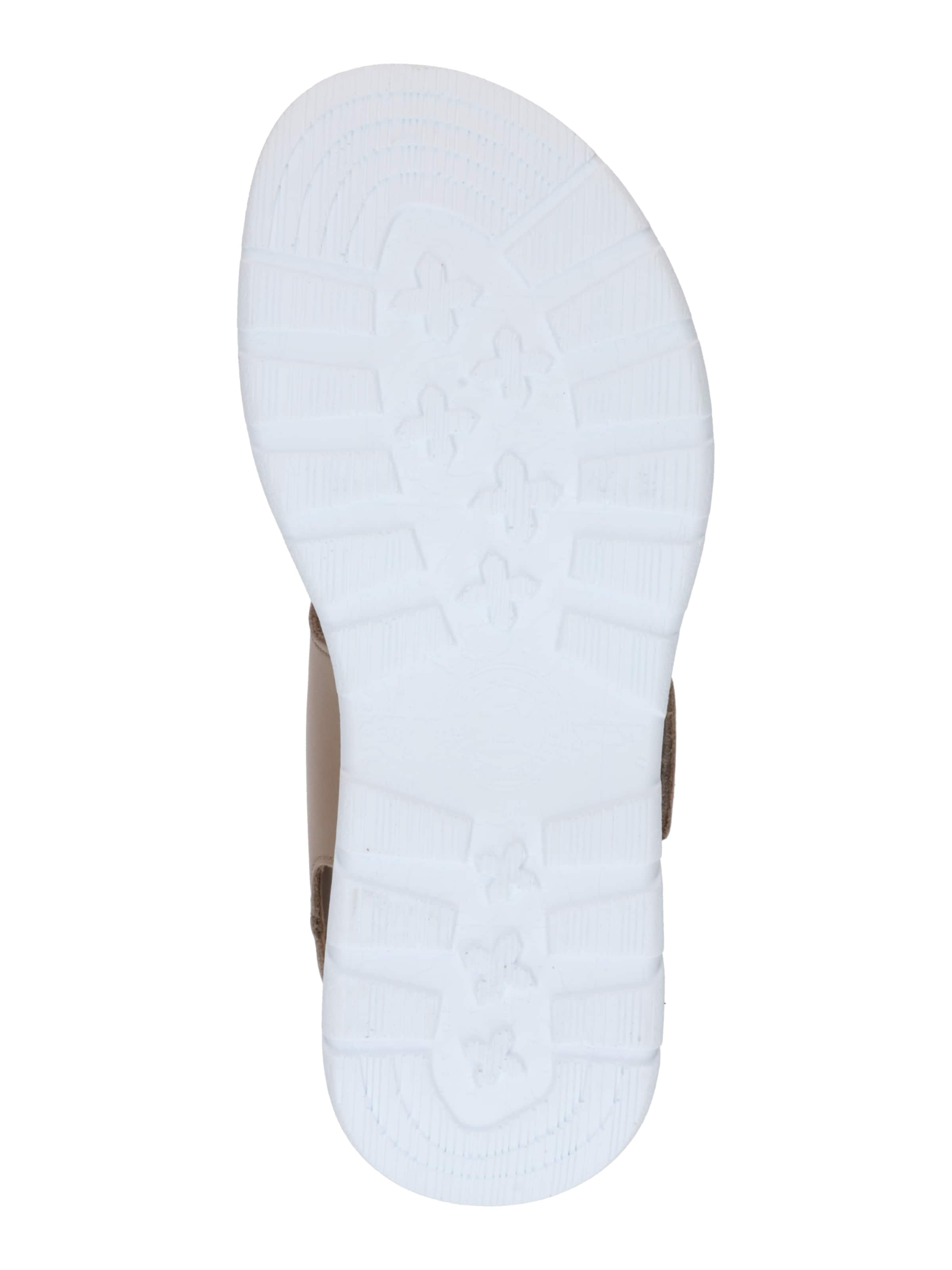 Sandale 'Noah B3' de la PANAMA JACK pe gri