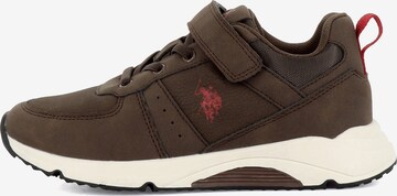 Baskets 'Jordy' US POLO ASSN. en marron : devant