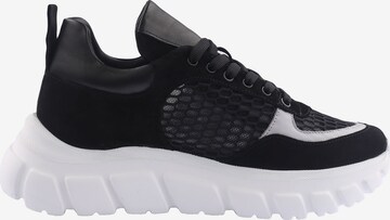 D.MoRo Shoes Sneakers in Black