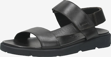 GEOX Slippers in Black: front