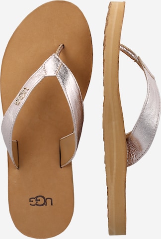 UGG Zehentrenner in Gold