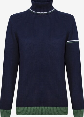 DENIM CULTURE Sweater 'Daphe' in Blue: front