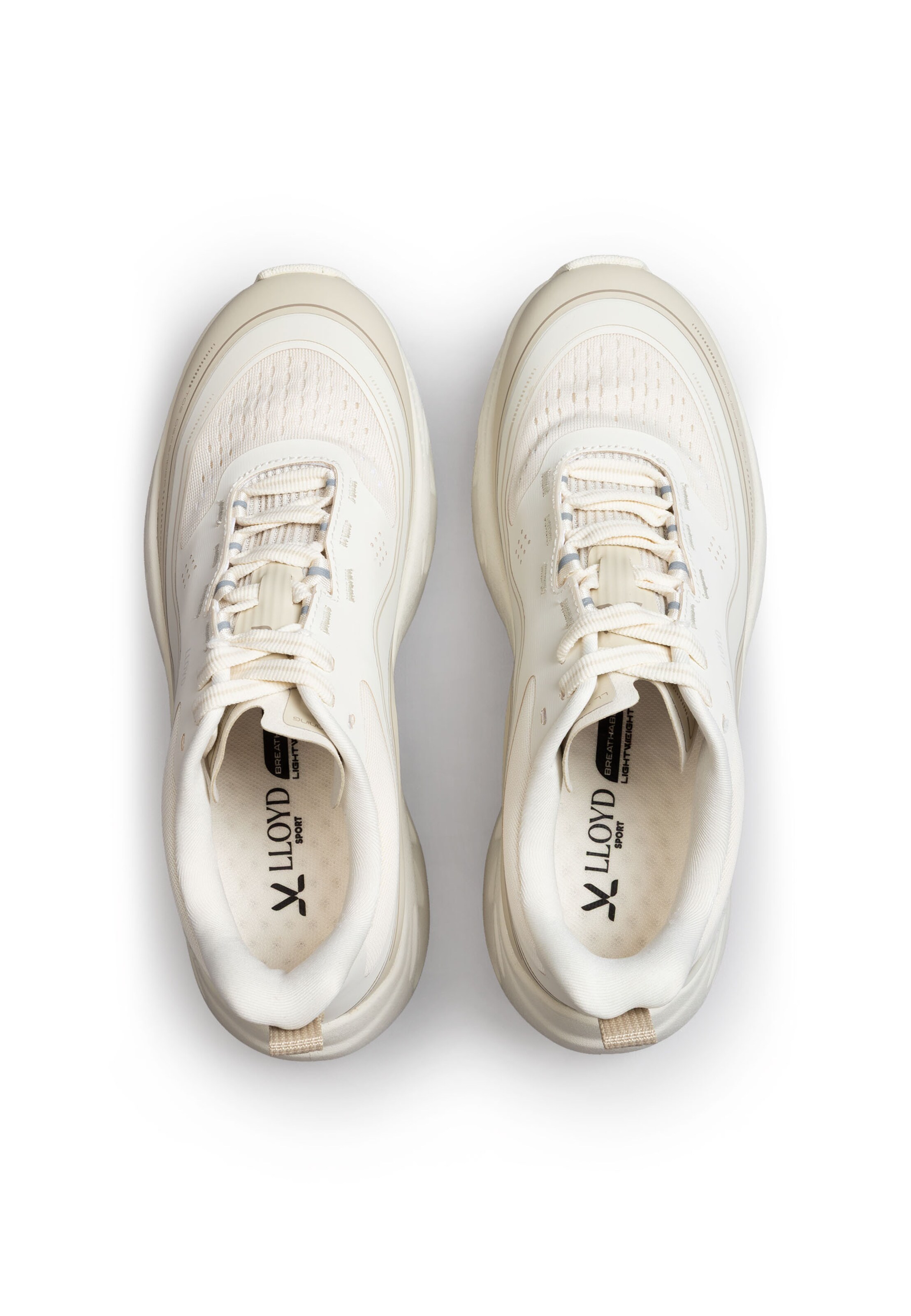 Baskets basses 'DASH X' LLOYD en gris