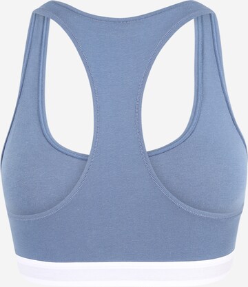 Tommy Hilfiger Underwear - Bustier Sujetador en azul