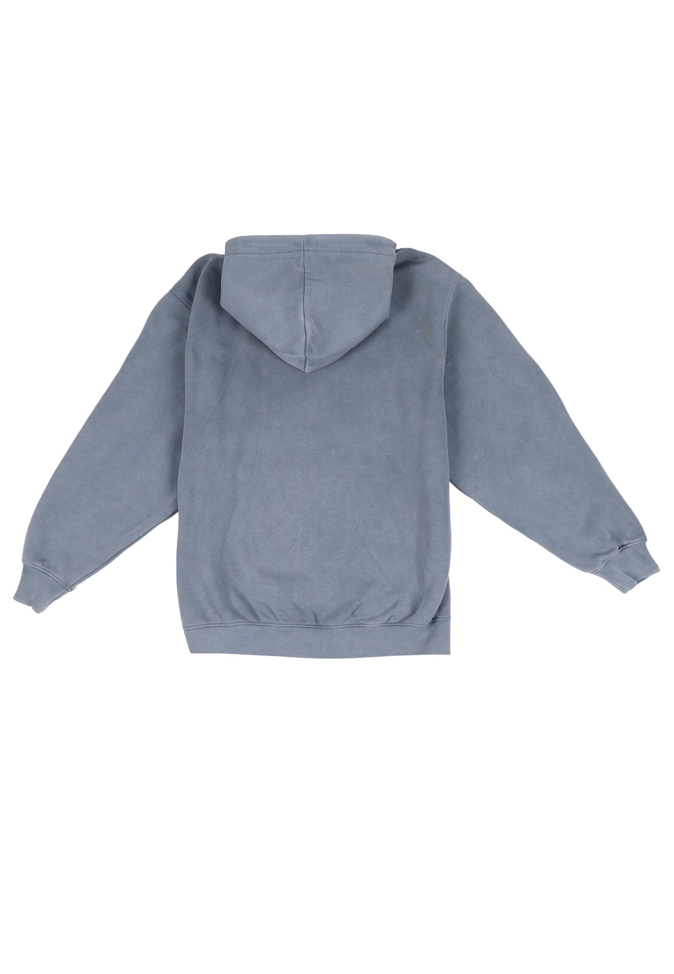 Dropsize Sweatjacke in Grau