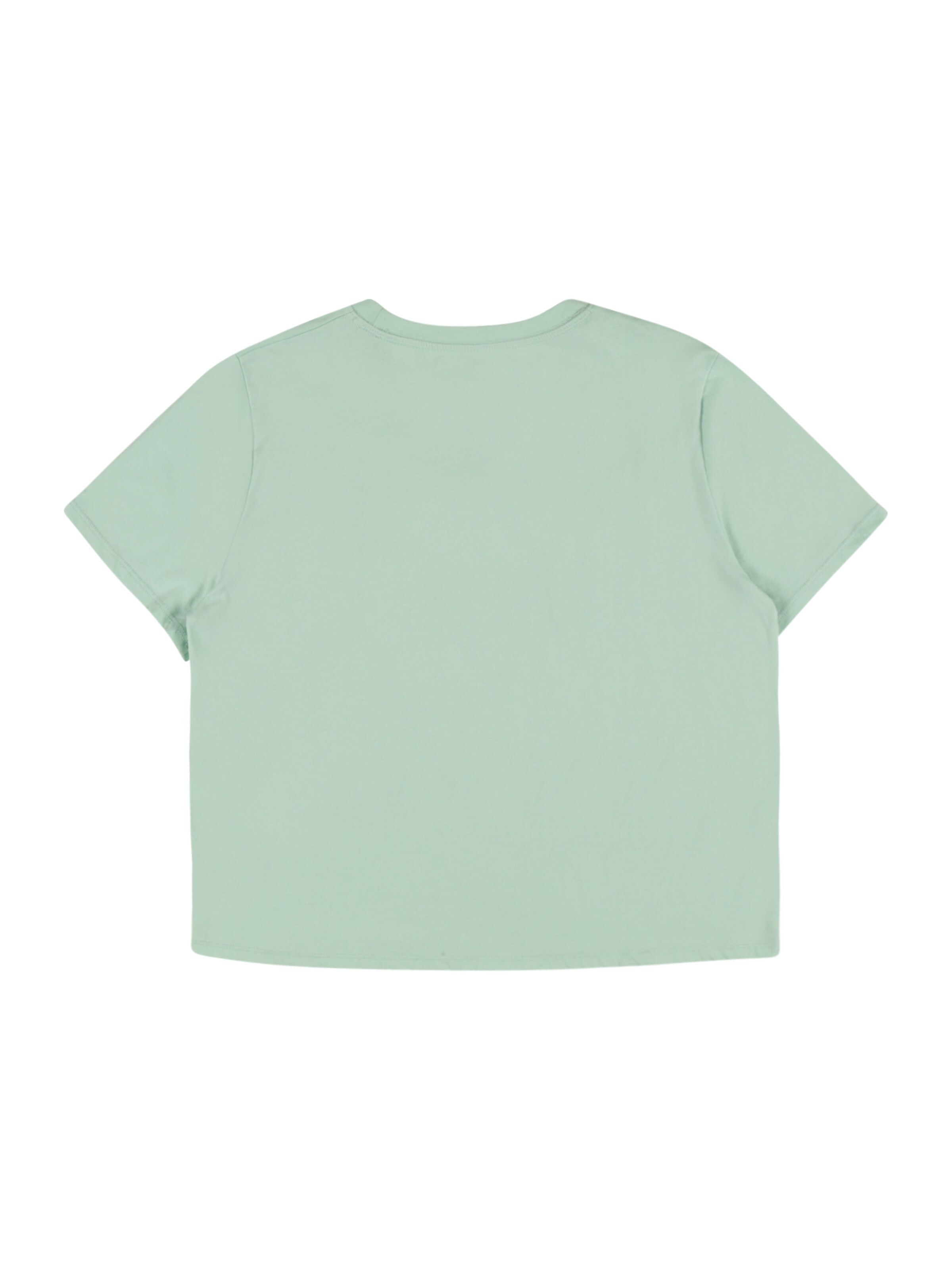 Kinder Teens (Gr. 140-176) Abercrombie & Fitch Shirt 'READY FOR PLAY' in Pastellgrün - CG56439