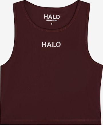 HALO Sports top in Brown: front
