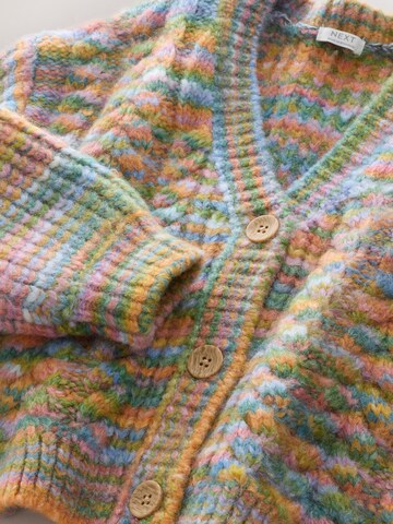 Next Gebreid vest in Gemengde kleuren