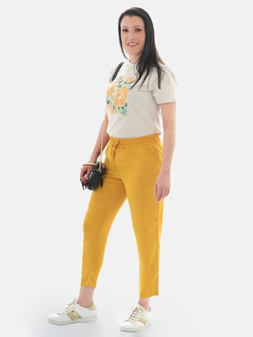 regular Pantaloni 'Pantoneclo Women's Trousers' di PANTONECLO in giallo