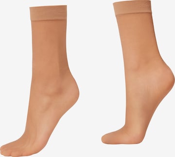 CALZEDONIA Socken in Braun: predná strana