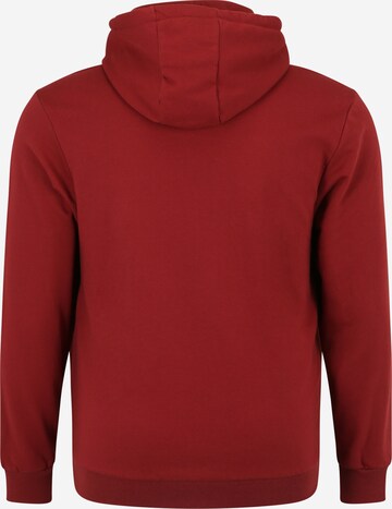 VANS Sweatshirt i röd