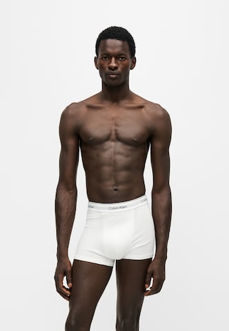Calvin Klein UnderwearBokserice - siva boja: prednji dio