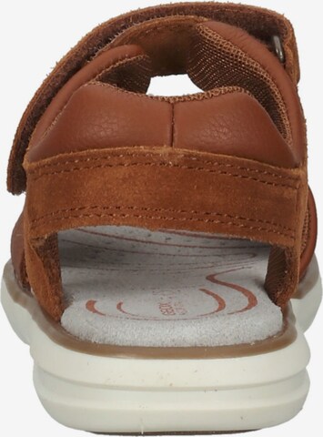 GEOX Sandals & Slippers in Brown