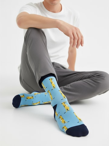 The Arctic Bay - Calcetines 'ORUN EDITION Gift box 4 Pack Unisex' en Mezcla de colores