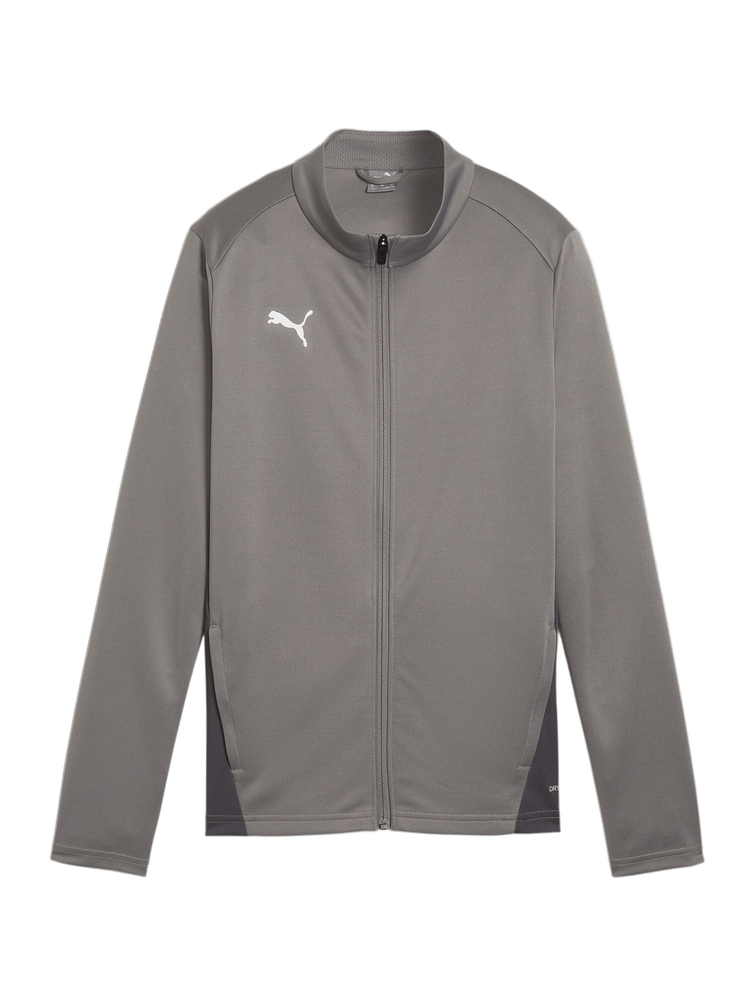 PUMA Trainingsjacke 'TeamGoal' in Grau: Vorderseite