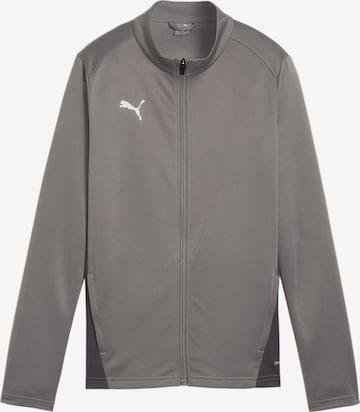 PUMA Trainingsjacke 'TeamGoal' in Grau: Vorderseite