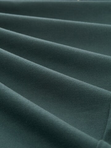 TOM TAILOR DENIM - regular Pantalón en verde
