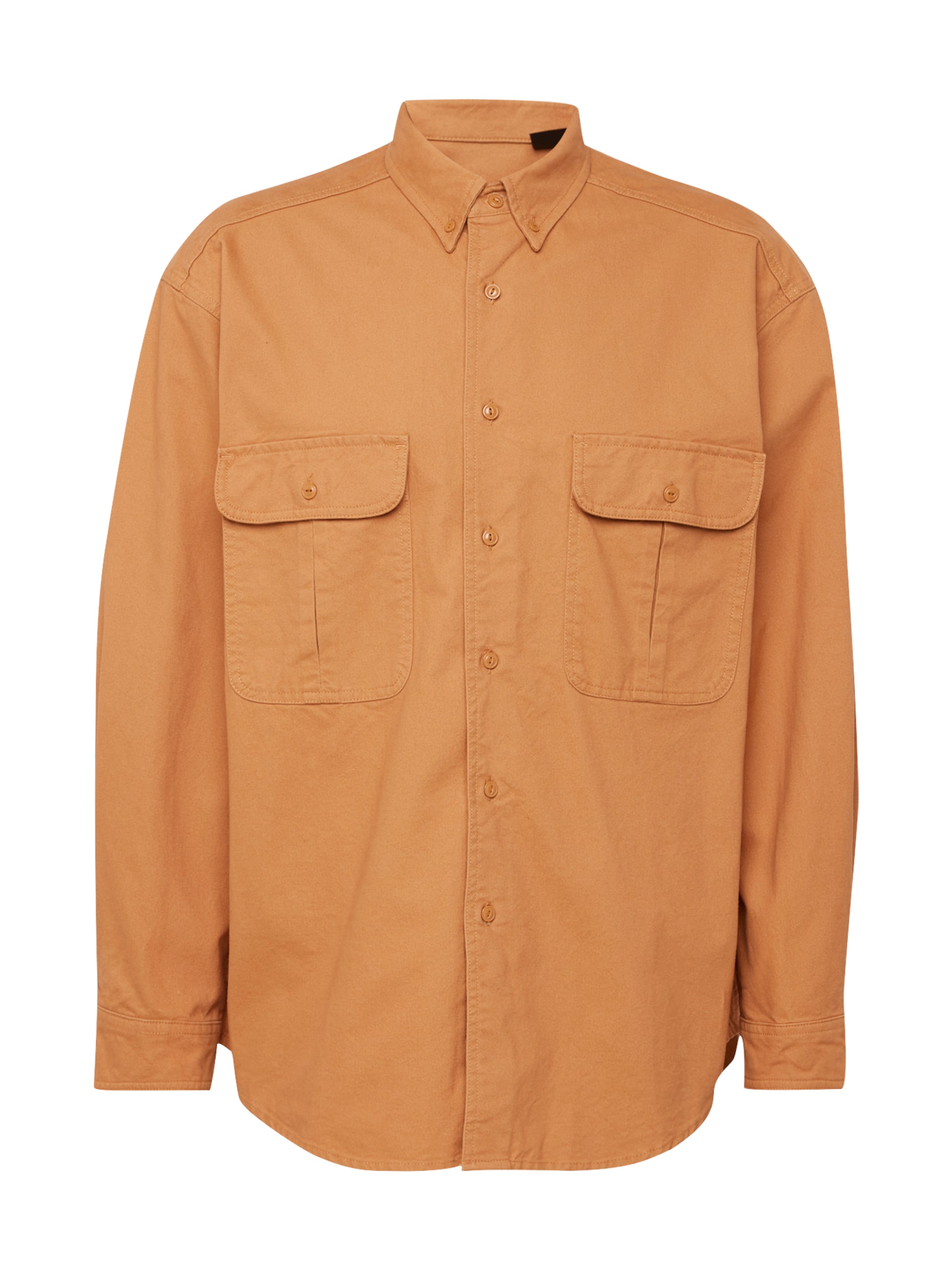 Levi's Skateboarding Hemd 'SKATE' in pueblo, Produktansicht