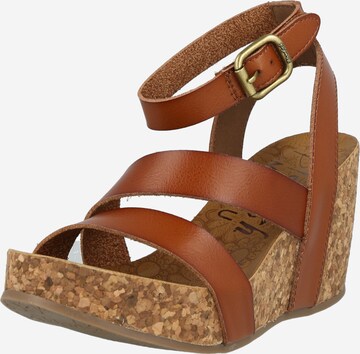 Blowfish Malibu Sandalen met riem 'Hecta' in Bruin: voorkant