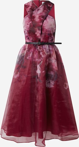 Coast Cocktail dress in Red: front