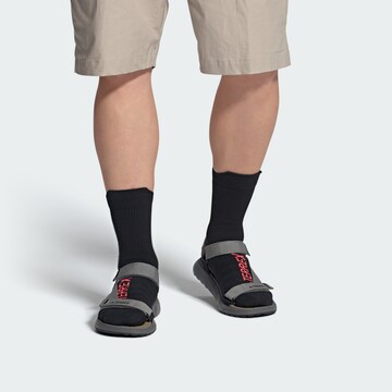 ADIDAS TERREX Sandals 'Hydroterra' in Grey: front