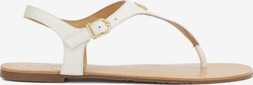 Kazar T-Bar Sandals in White