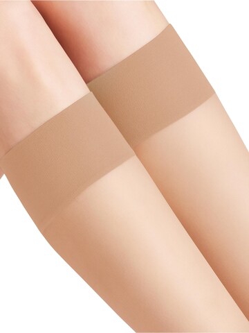 FALKE Knee High Socks 'Pure Matt' in Gold