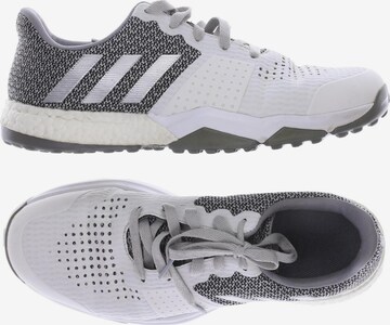 ADIDAS PERFORMANCE Sneaker 42,5 in Weiß: predná strana