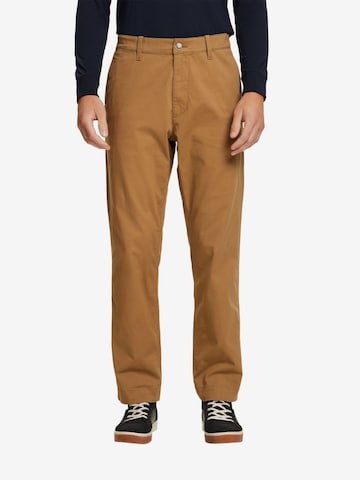 ESPRIT Regular Chino in Bruin: voorkant