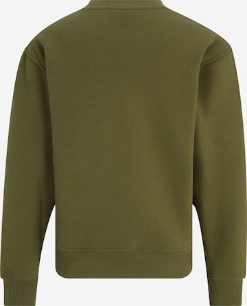 TOMMY HILFIGER Sweatshirt in Green