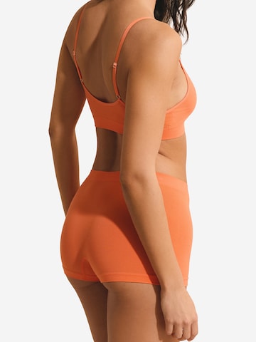Culotte ' AMANDE ' ETAM en orange