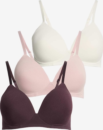 T-shirt Reggiseno di Marks & Spencer in lilla: frontale