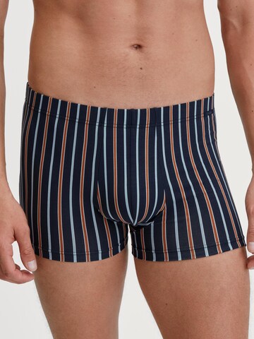 CALIDA Boxershorts 'Grafic Cotton'‌‌‌ in Braun