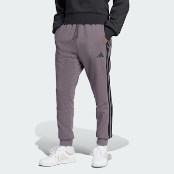 Effilé Pantalon de sport ADIDAS SPORTSWEAR en gris : devant
