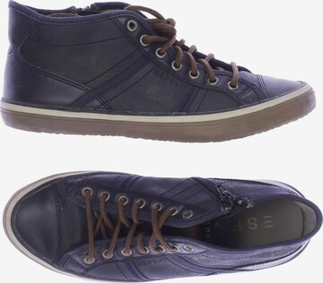 ESPRIT Sneakers & Trainers in 37 in Blue: front