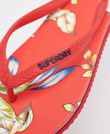 Superdry T-Bar Sandals in Red