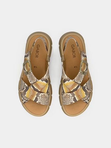 GABOR Sandaal in Gemengde kleuren