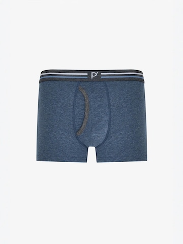 Penti Boxershorts 'PENTI Herren Blend gestreifte Boxershorts'‌‌‌‌‌‌‌‌‌‌ in Grau
