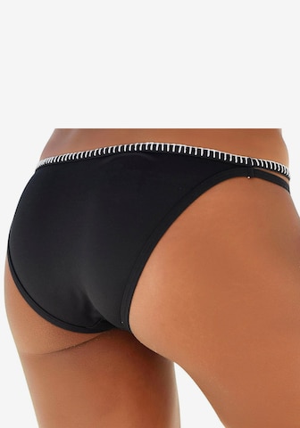 SUNSEEKER Bikini Bottoms 'Dainty' in Black