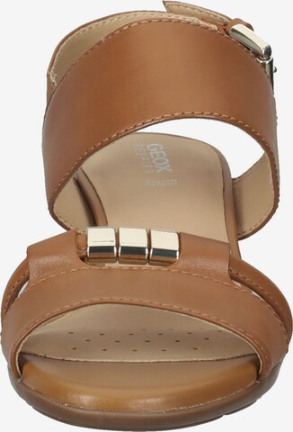 GEOX Strap Sandals in Brown