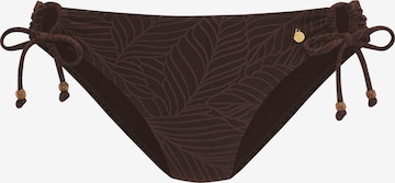 LASCANA Bikinitrusse i brun: forside