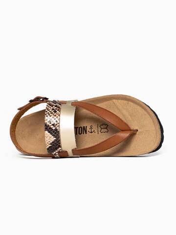 Bayton Sandal 'Lajas' in Brown