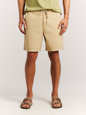 PROTEST Regular Hose 'PRTNivel' in Braun