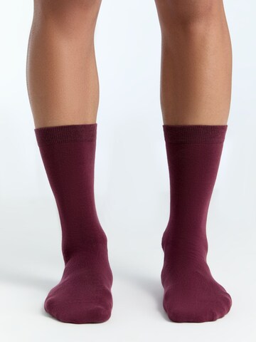 Albero Natur Socks in Red: front