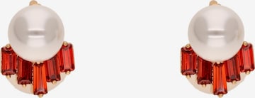 faina Oorbellen in Wit: voorkant