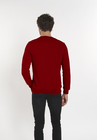 Felpa 'Bret' di DENIM CULTURE in rosso