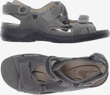 WALDLÄUFER Sandals & High-Heeled Sandals in 37,5 in Grey: front